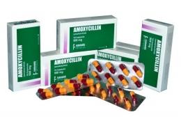 Amoxycillin